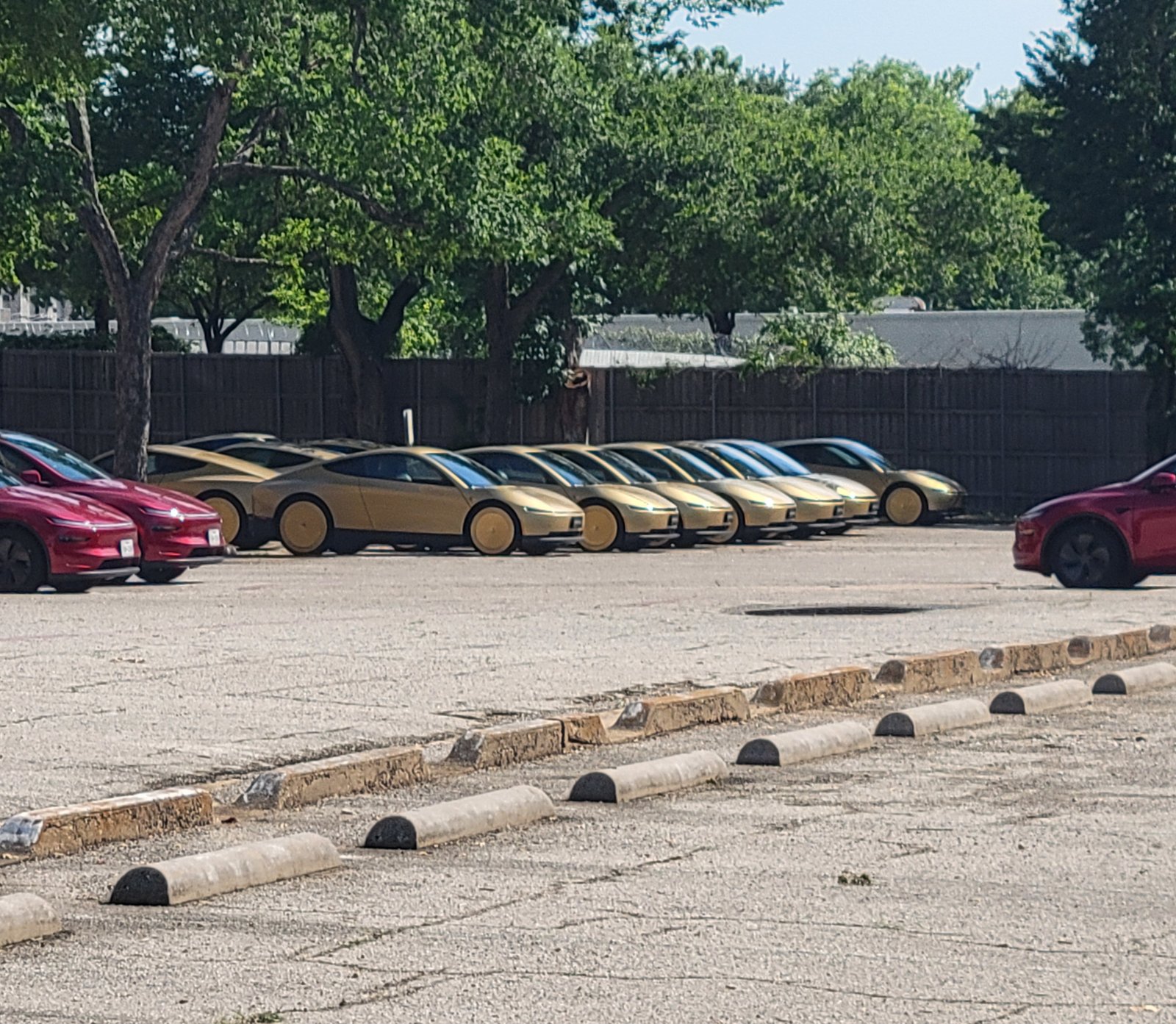 Cybercab sighting in Dallas, TX