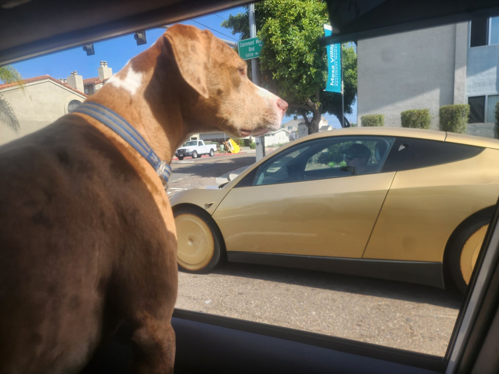 Tesla Cybercab spotted in san diego, CA by Magic Mat
