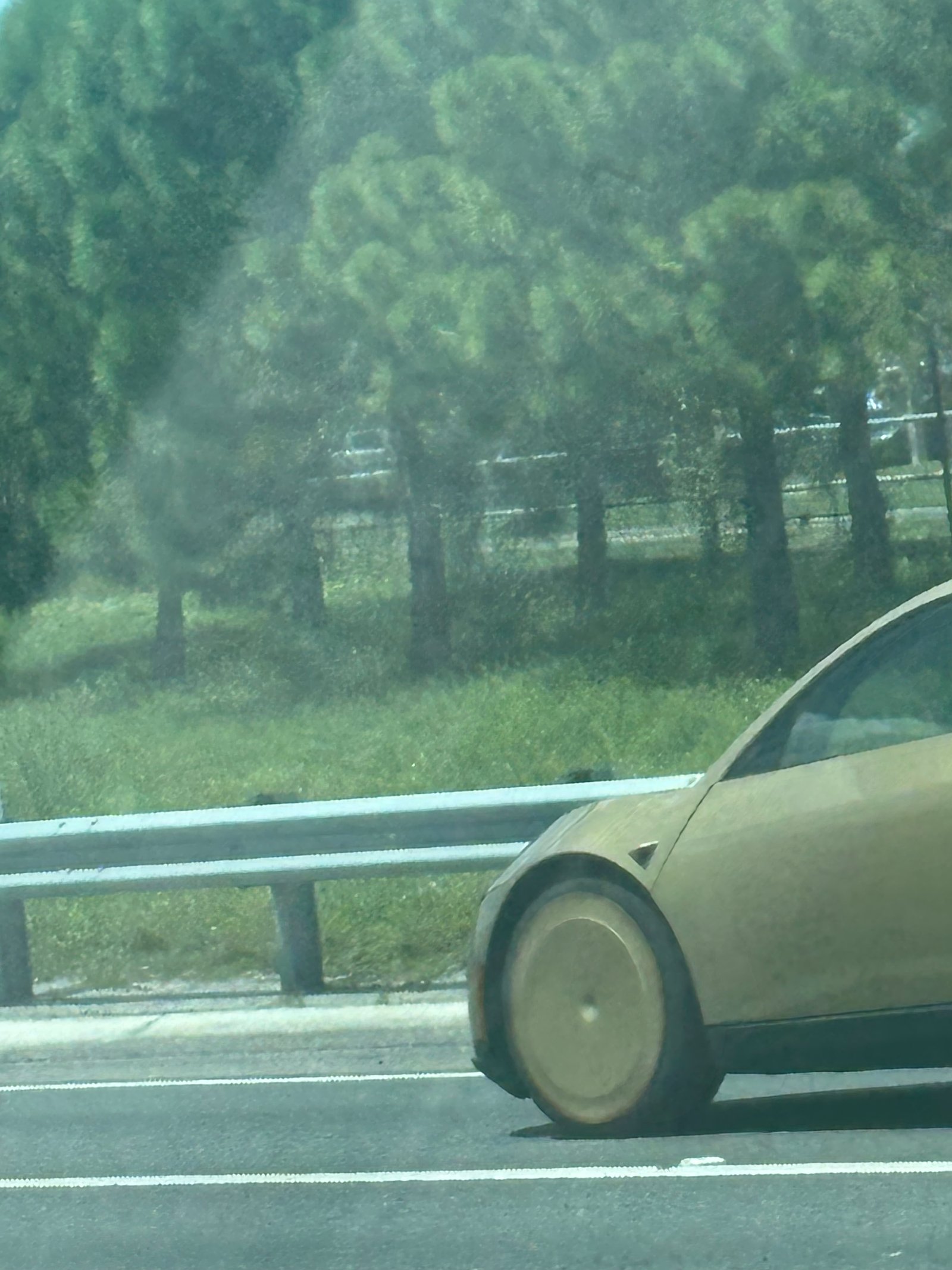 Tesla Cybercab spotted in Orlando, FL by anonymous