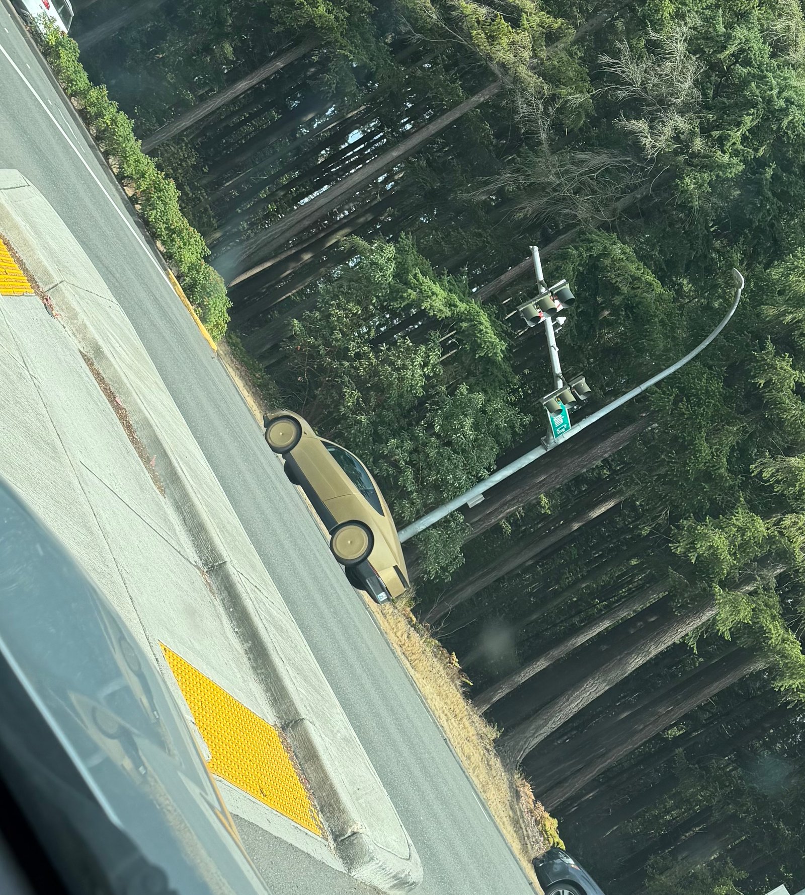 Tesla Cybercab spotted in Bellevue, WA by didbu